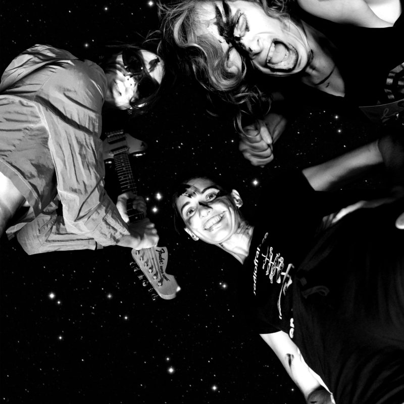 Vulves Assassines